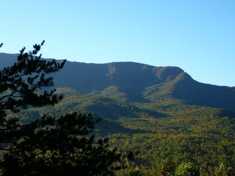 image09